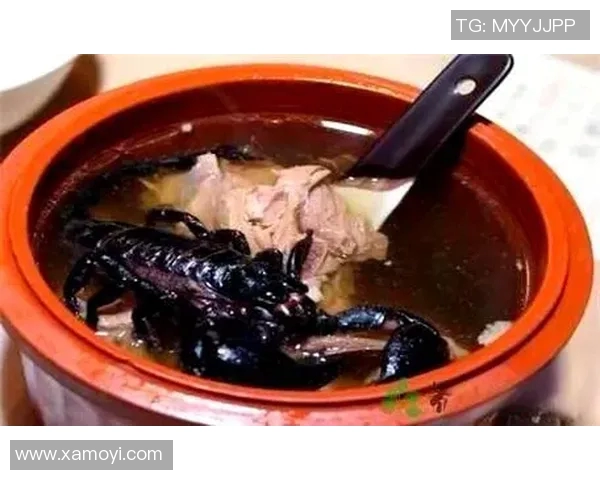 足球明星们的美食偏好揭秘他们最爱的食物和饮食习惯分析