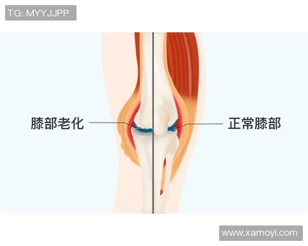 篮球明星腿长的秘密与训练方法揭秘助你提升运动表现